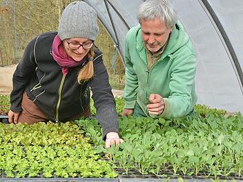 Bettina und Wolfang Wänke in einem ihrer Gewächshäuser, wo die ersten Gemüsepflänzchen der Saison heranwachsen.  Fotos: Dagmar Besand