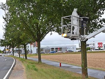 Schutzanzug ist Pflicht: Die Gespinste des Eichenprozessionsspinners entlang der Kreisstraße zwischen Beutelsdorf und Herzogenaurach werden beseitigt.