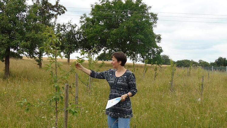 Claudia Leistner in der Streuobstwiese Foto: Petra Malbrich