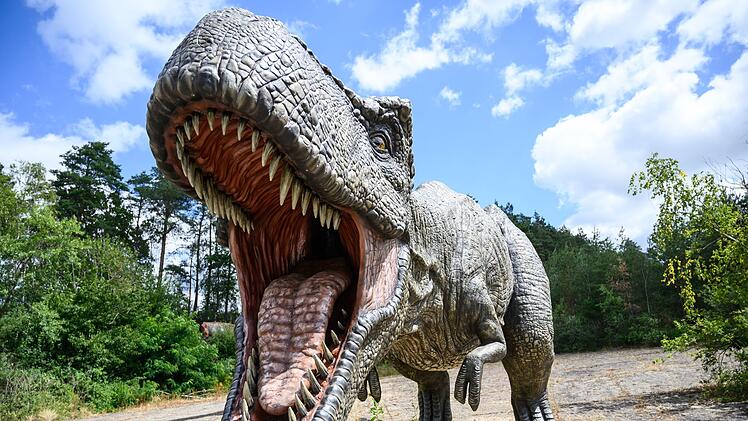 Auch ein Top-Predator f&auml;ngt klein an: T. rex war ein Sp&auml;tz&uuml;nder