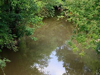 Die Fränkische Saale soll entlang des Bad Bockleter Kurparks ökologisch gestaltet werden.  Foto: Björn Hein