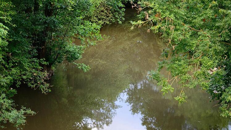 Die Fränkische Saale soll entlang des Bad Bockleter Kurparks ökologisch gestaltet werden.  Foto: Björn Hein