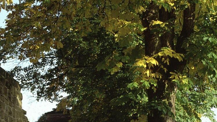Entlang der Stadtmauer