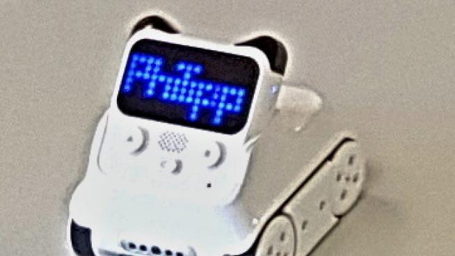 Hat da jemand beim Roboter "codey rocky" dessen Namen umcodiert und ihn  "Philipp" genannt?