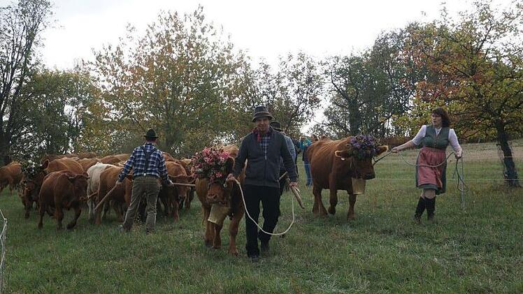 Weideabtrieb in Ginolfs. Foto: Marion Eckert