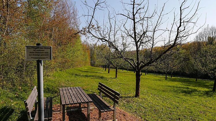 Obstparadies Bamberger Land. Foto: Matthias Hoch