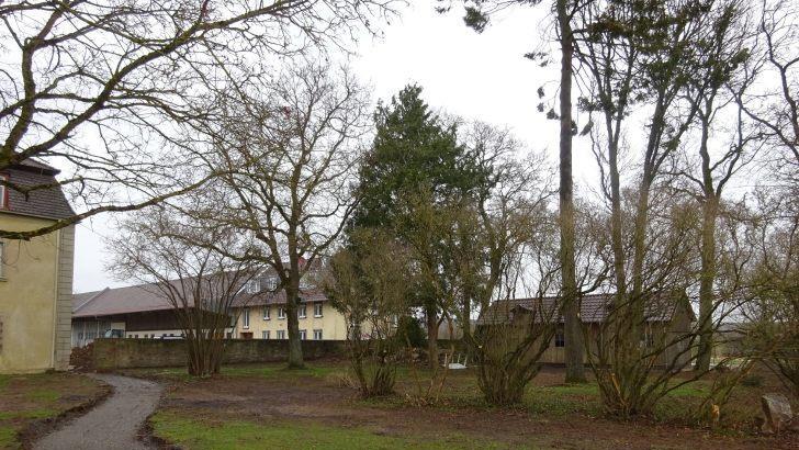 Ein kleiner, bisher kaum sichtbarer Garten, in dem eine Grotte und eine Hütte stehen, wird neu gestaltet. Im Hintergrund Haus Ägidius. Anton Then