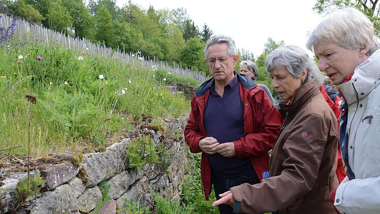 Sinnesreise macht Station in Hammelburg: Auf der Tour erläutern Experten die Arbeiten zum Artenschutz. Hier Roland Lenhart an einem seiner letzten Tage als Leiter der unteren Naturschutzbehörde am Hammelberg.Elisabeth Assmann