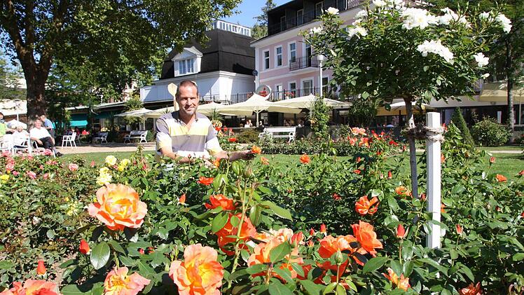 Martin Christ, Leiter der Kurgärtnerei, freut sich, dass auch die zweite Rosenblüte heuer so prachtvoll ausfällt. Fotos: Melissa Hager/Ralf Ruppert