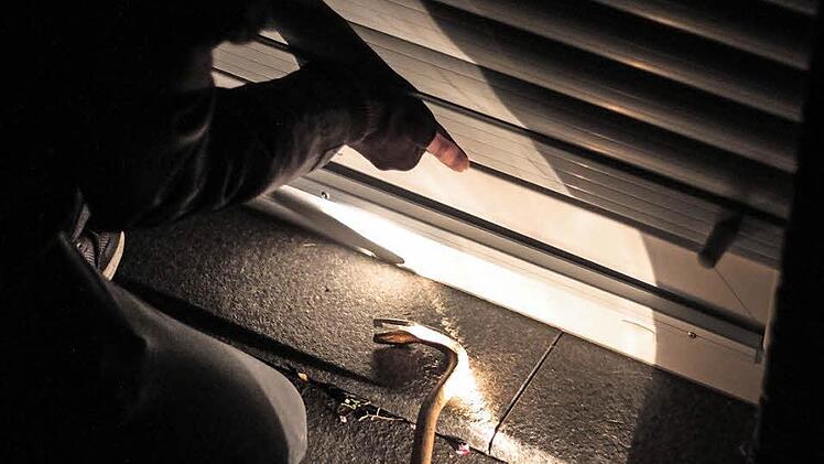 Der 25-Jährige brach unter anderem in ein Firmengebäude in Kulmbach ein. Foto: Christopher Schulz