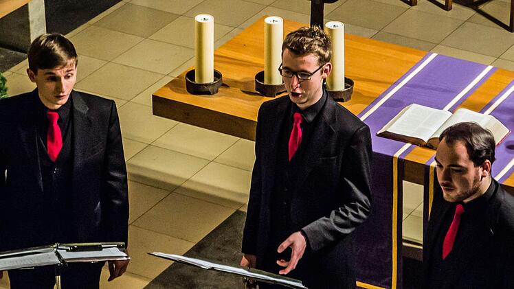 Ehemalige Thomaner begeistern die Coburger "Musikfreunde": Das "Ensemble Nobiles" gastierte in der Heilig-Kreuz-Kirche. Foto: Jochen Berger