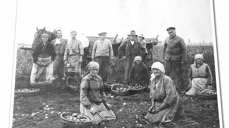Bei der Kartoffelernte, ein Foto aus Häfners Sammlung Foto: Josef Hofbauer