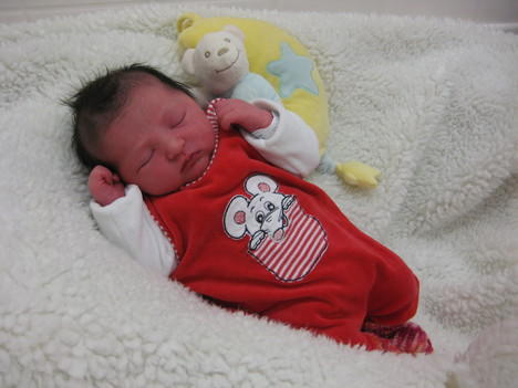 Babygalerie 267