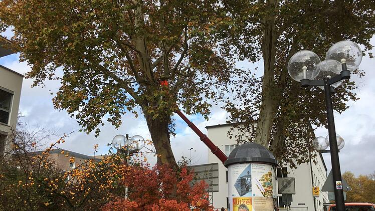 Rund um das Landratsamt. Foto: Ralf Ruppert