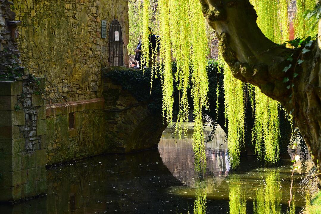 Die schönsten Frühlingsfotos aus Bad Kissingen und Umgebung