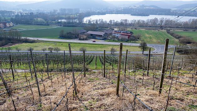 Trockenheit in Oberfranken: "Junge Obstbäume brauchen Hilfe"