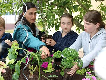 Eunike Schu von der Kulmbacher Urban-Gardening-Gruppe bepflanzt mit den Kindern der Grundschule Melkendorfas erste Hochbeet.Dagmar Besand