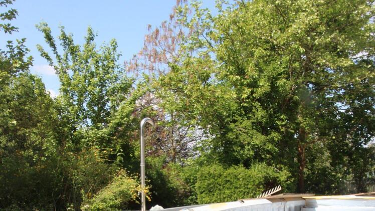 Das Becken wird k&uuml;nftig mit Edelstahl ausgekleidet. Foto: Benedikt Borst