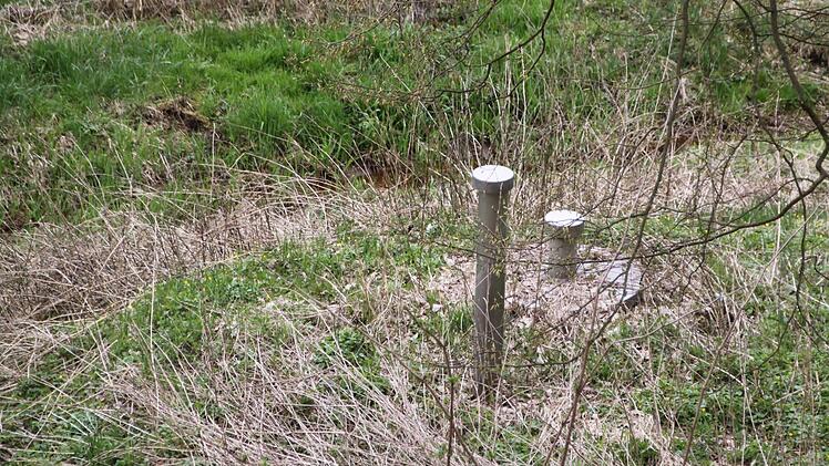 Einige Gemeinderäte fürchten um die alte Eckartser Quelle, die am Rande des Krechenbach-Tals liegt.