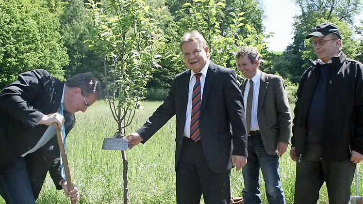 Christian Mitter (links) pflanzt den ersten Baum im "Garten der neuen Erdenbürger. Mit dabei sind Bürgermeister Wolfgang Beiergrößlein, Forstdirektor Fritz Maier und Lions-Club-Präsident Hans Hablitzel.