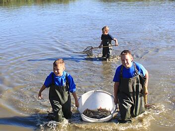 Hannes, Julian und Philipp helfen beim Abfischen am Weiher bei Medbach flei&szlig;ig mit.  Fotos: Ruth Kaiser