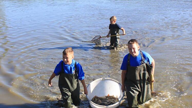 Hannes, Julian und Philipp helfen beim Abfischen am Weiher bei Medbach flei&szlig;ig mit.  Fotos: Ruth Kaiser