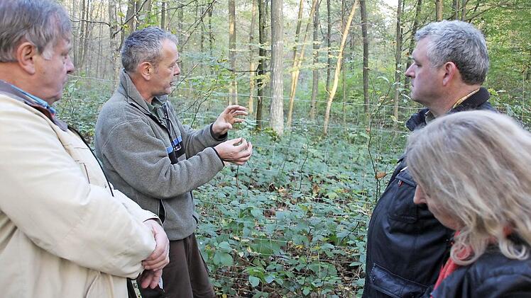 Solchen kleinen Eschen macht nicht der Wildverbiss, sondern ein Pilz den Garaus, wie Förster Wolfgang Gnannt (Zweiter von links) Irene Jungnickl, Bürgermeister Hennemann und Spitalverwalter Albert Kuhn (weiter im Bild von rechts) zeigte. Foto: Ralf Kestel