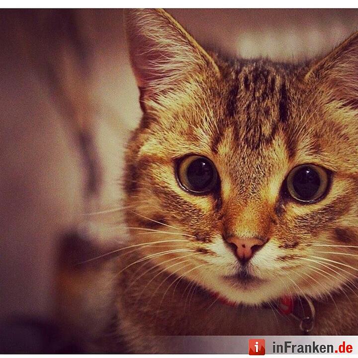 Foto: Sabrina Einwich