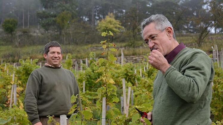 Winzer Marcel Hümmler und Roland Lenhart, Leiter der Unteren Naturschutzbehörde. Elisabeth Assmann