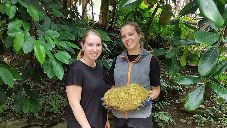 Geschafft: Katharina Suffa (links) und Linda Johanna Neubauer halten die schwere Jackfrucht in H&auml;nden.Maria L&ouml;ffler