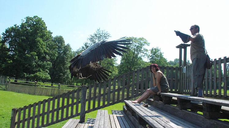 Nah dran. Die Vögel fliegen direkt über das Puplikum.