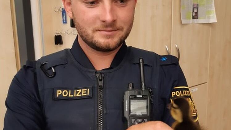 Ein Polizeibeamter wird Enten-Papa