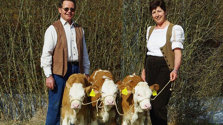 Rudolf und Gudrun Müller erregten mit ihren Drillingskälbchen vor einigen Monaten Aufsehen im Landkreis. Ereignisse wie dieses werden bald Vergangenheit sein. Foto: privat