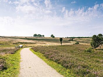 Die Lüneburger Heide ist mehr als ein Naturparadies - Ende August wird hier ausgelassen gefeiert. Foto: djd/Erlebniswelt Lüneburger Heide GmbH