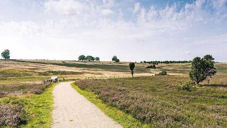 Die Lüneburger Heide ist mehr als ein Naturparadies - Ende August wird hier ausgelassen gefeiert. Foto: djd/Erlebniswelt Lüneburger Heide GmbH