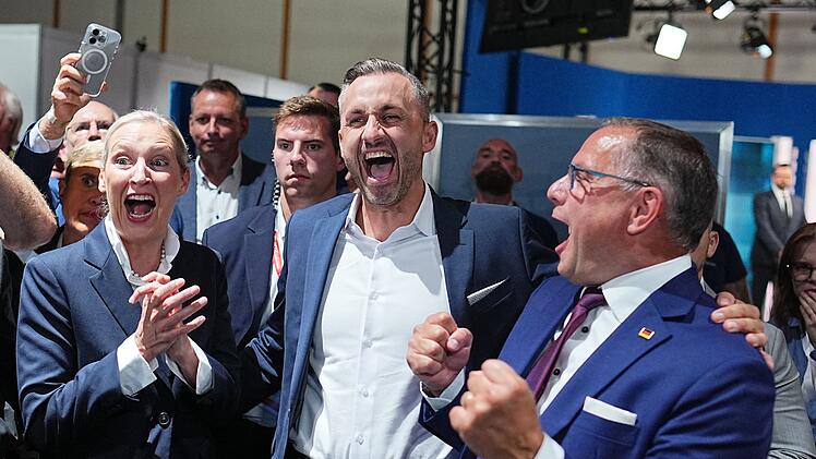 Landtagswahl in Sachsen-Anhalt - AfD