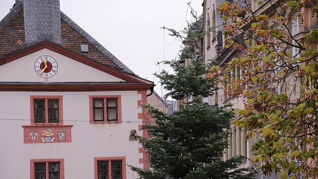 Eine zehn Meter hohe K&uuml;stentanne schm&uuml;ckt seit gestern den Marktplatz als Weihnachtsbaum.  Foto: Benedikt Borst