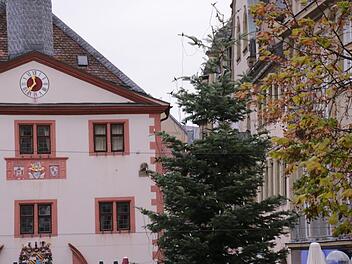 Eine zehn Meter hohe K&uuml;stentanne schm&uuml;ckt seit gestern den Marktplatz als Weihnachtsbaum.  Foto: Benedikt Borst