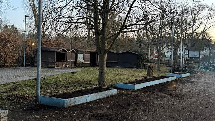 SplitImage 1772615101