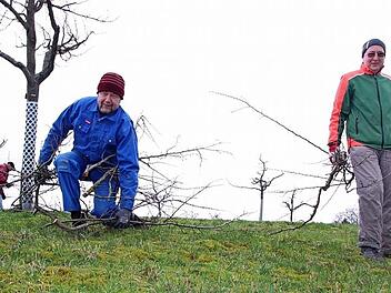 Nach dem Baumschnitt in der Anlage wurde das Astmaterial in einer Gemeinschaftsaktion zusammengetragen. Foto: Thomas Neder