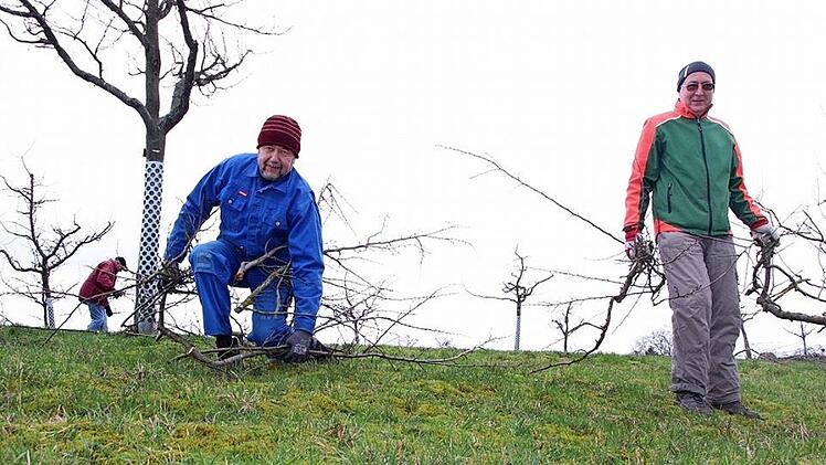 Nach dem Baumschnitt in der Anlage wurde das Astmaterial in einer Gemeinschaftsaktion zusammengetragen. Foto: Thomas Neder