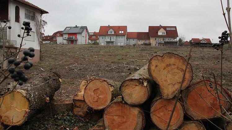 Um den Abtransport und Verkauf der Baumst&auml;mme k&uuml;mmert sich die Firma L&ouml;ser. Foto: Kerstin V&auml;th