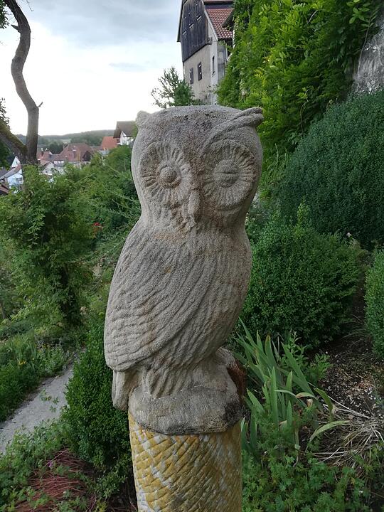 Die schönsten Sommerfotos aus Bayreuth und Umgebung