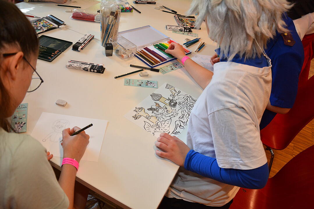 Zahlreiche Manga, Anime und Cosplay-Fans kamen nach Schweinfurt.