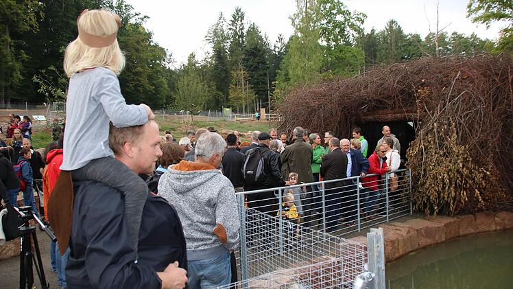 Die Gäste des Klaushof-Festes strömen zur "Biberburg". Mit etwas Glück kann man im Freigehege die zwei Tiere beobachten. Fotos: Ronald Heck