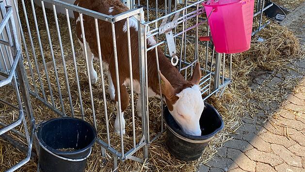 Landwirte &auml;chzten unter steigenden Energie- und Rohstoffpreisen