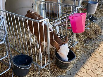 Landwirte ächzten unter steigenden Energie- und Rohstoffpreisen Landwirte ächzten unter steigenden Energie- und Rohstoffpreisen
