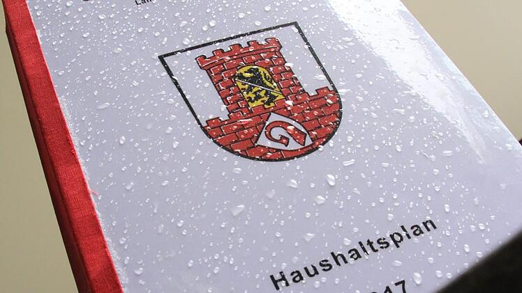 An und für sich sind sich alle im Stadtrat einig: Einnahmen und Rücklagen der Stadt sind top. Doch wofür man das viele Geld verwenden soll, darüber gab es Streit.  Foto: Christian Bauriedel