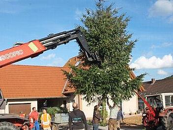 Gesichert von Mitgliedern des Sängerkranzes Reichenbach, schwebt die Spitze für den Maibaum am Arm des Manitou zu Boden.  Foto: M. Nöth