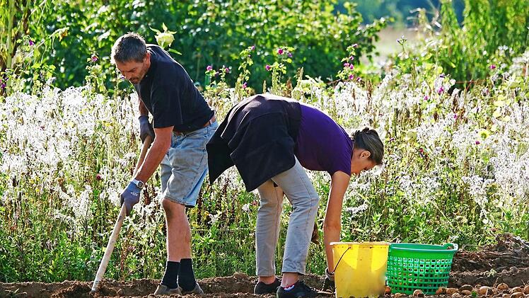 Manchmal ist aber, wie früher, auch noch Handarbeit gefragt.